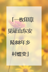 一枚印章见证山东安陵88年乡村蝶变