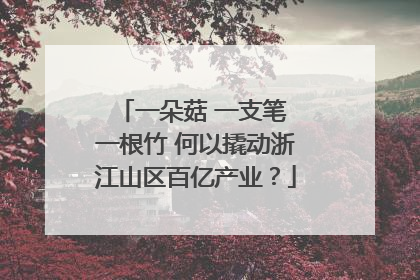一朵菇 一支笔 一根竹 何以撬动浙江山区百亿产业？