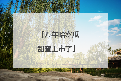 万年哈密瓜甜蜜上市了