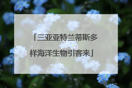 三亚亚特兰蒂斯多样海洋生物引客来