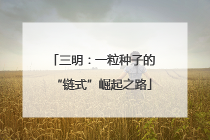 三明：一粒种子的“链式”崛起之路