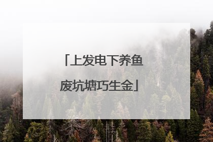 上发电下养鱼 废坑塘巧生金