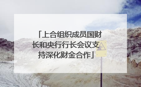 上合组织成员国财长和央行行长会议支持深化财金合作