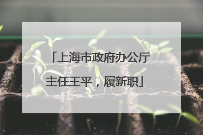 上海市政府办公厅主任王平，履新职