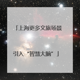 上海更多文旅场景引入“智慧大脑”
