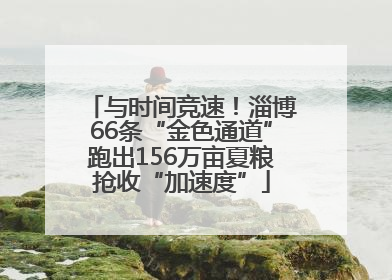 与时间竞速！淄博66条“金色通道”跑出156万亩夏粮抢收“加速度”