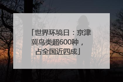 世界环境日：京津冀鸟类超600种，占全国近四成