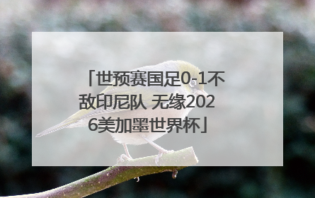 世预赛国足0-1不敌印尼队 无缘2026美加墨世界杯