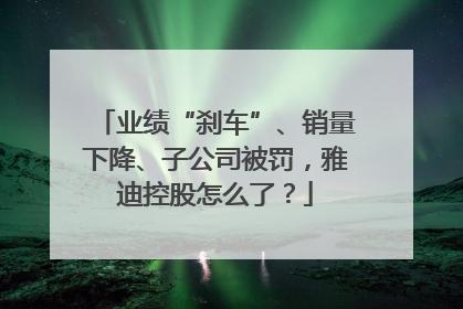 业绩“刹车”、销量下降、子公司被罚，雅迪控股怎么了？