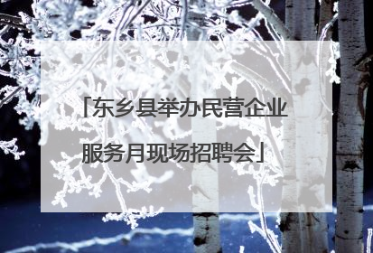 东乡县举办民营企业服务月现场招聘会