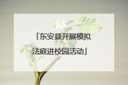 东安县开展模拟法庭进校园活动