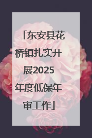 东安县花桥镇扎实开展2025年度低保年审工作
