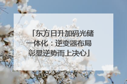 东方日升加码光储一体化：逆变器布局彰显逆势而上决心