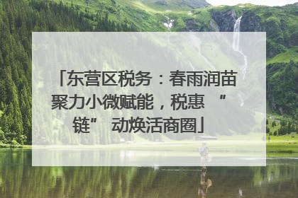 东营区税务：春雨润苗聚力小微赋能，税惠 “链” 动焕活商圈