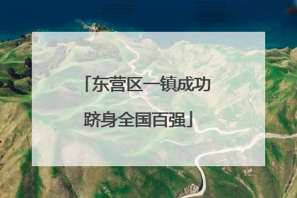 东营区一镇成功跻身全国百强