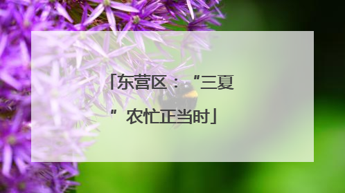 东营区：“三夏”农忙正当时