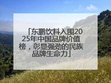 东鹏饮料入围2025年中国品牌价值榜，彰显强劲的民族品牌生命力