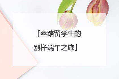 丝路留学生的别样端午之旅