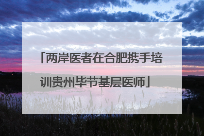 两岸医者在合肥携手培训贵州毕节基层医师