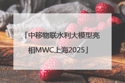 中移物联水利大模型亮相MWC上海2025