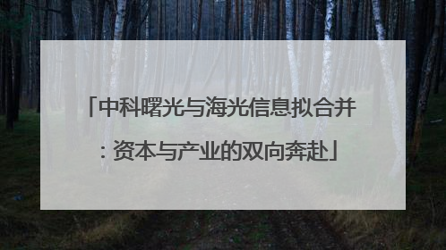 中科曙光与海光信息拟合并：资本与产业的双向奔赴