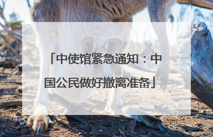 中使馆紧急通知：中国公民做好撤离准备