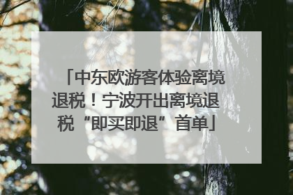 中东欧游客体验离境退税！宁波开出离境退税“即买即退”首单