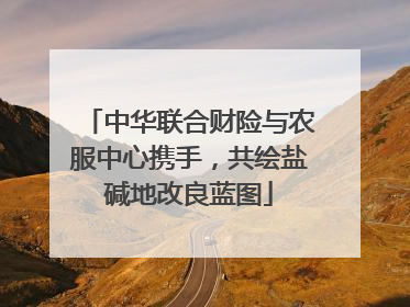 中华联合财险与农服中心携手，共绘盐碱地改良蓝图