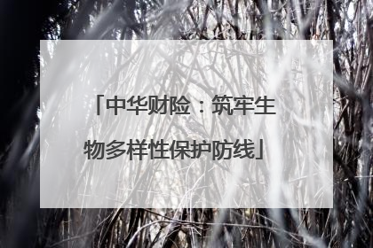 中华财险：筑牢生物多样性保护防线