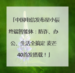 中国电信发布星小辰终端智能体：防诈、办公、生活全搞定 麦芒40首发搭载！