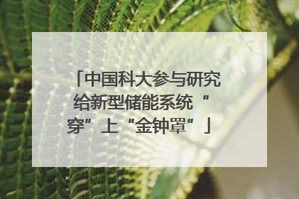 中国科大参与研究 给新型储能系统“穿”上“金钟罩”