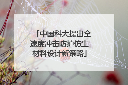 中国科大提出全速度冲击防护仿生材料设计新策略