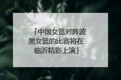 中国女篮对阵波黑女篮的比赛将在临沂精彩上演