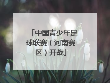 中国青少年足球联赛（河南赛区）开战
