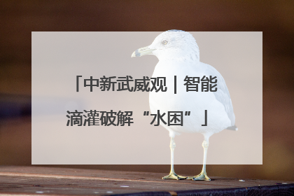 中新武威观｜智能滴灌破解“水困”