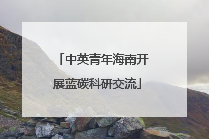 中英青年海南开展蓝碳科研交流