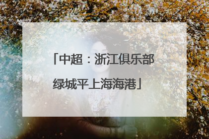 中超：浙江俱乐部绿城平上海海港