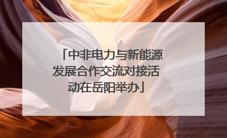 中非电力与新能源发展合作交流对接活动在岳阳举办