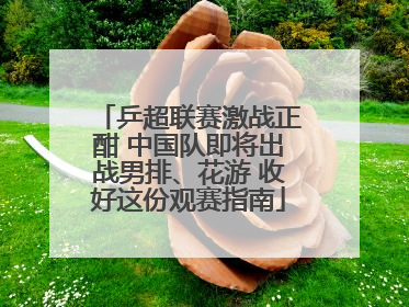 乒超联赛激战正酣 中国队即将出战男排、花游 收好这份观赛指南