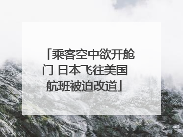 乘客空中欲开舱门 日本飞往美国航班被迫改道