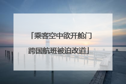 乘客空中欲开舱门 跨国航班被迫改道