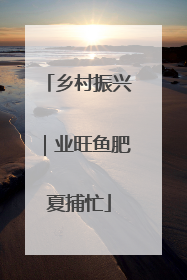 乡村振兴｜业旺鱼肥夏捕忙