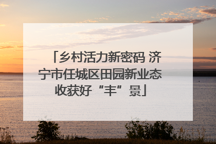 乡村活力新密码 济宁市任城区田园新业态收获好“丰”景