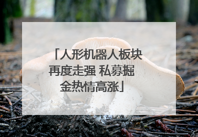 人形机器人板块再度走强 私募掘金热情高涨