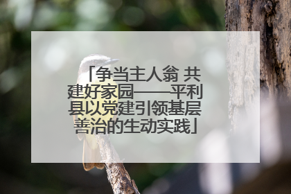 争当主人翁 共建好家园——平利县以党建引领基层善治的生动实践