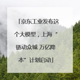 京东工业发布这个大模型，上海“链动众城 万亿降本”计划启动