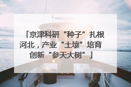 京津科研“种子”扎根河北，产业“土壤”培育创新“参天大树”