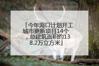 今年海口计划开工城市更新项目14个，总建筑面积约138.2万立方米