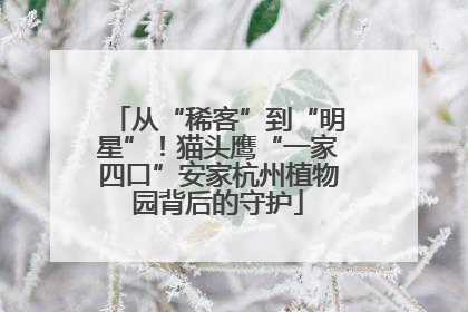 从“稀客”到“明星”！猫头鹰“一家四口”安家杭州植物园背后的守护