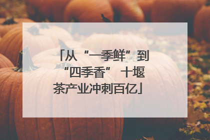 从“一季鲜”到“四季香” 十堰茶产业冲刺百亿